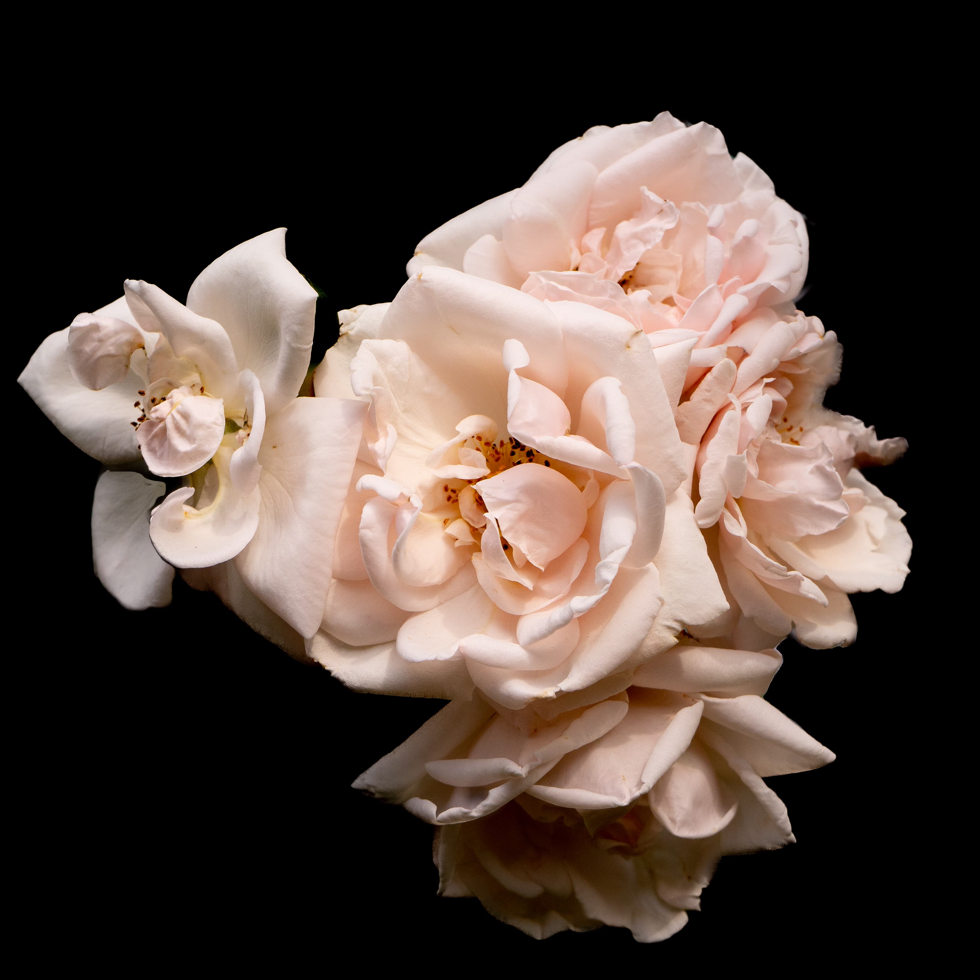 Photograph 2